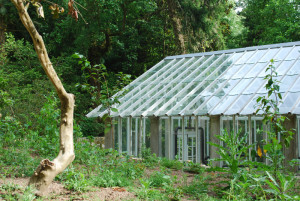 Greenhouse on the heart of the forest