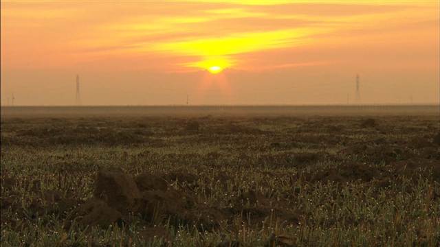 No Water For Drought-Hit California Farmers
