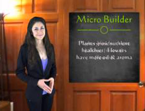 Yanitsa delivers Micro Builder